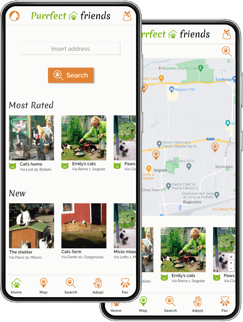 purrfect friends preview